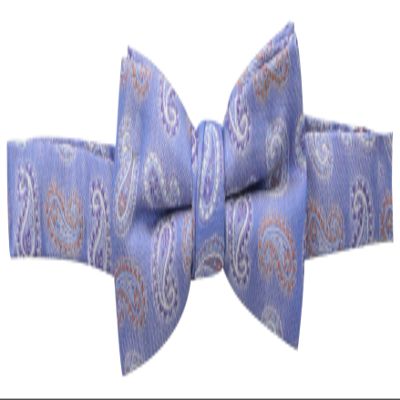 Isaac Mizrahi Big Boys' Paisley Bowtie, Royal Blue, 4 Inch