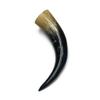 10-14" Polished Water Buffalo Horn view 2