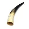 10-14" Polished Water Buffalo Horn view 3