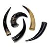 10-14" Polished Water Buffalo Horn view 4