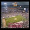 Framed Ohio State Buckeyes Champions 2006 Tostitos Fiesta Bowl 14x11 Photograph Art Print Poster view 1