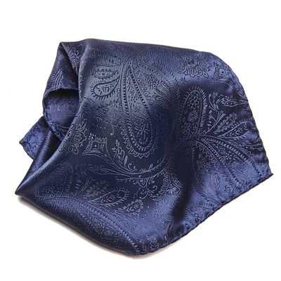 Vesuvio Napoli PAISLEY Design Men's Hankerchief Pocket Square Mens Hanky Hankie, Navy Blue, 10x10 Inches