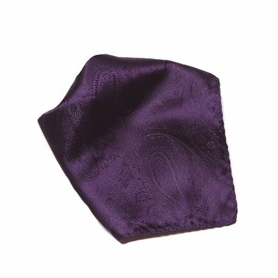 Vesuvio Napoli PAISLEY Design Men's Hankerchief Pocket Square Mens Hanky Hankie, Grape Purple, 10x10 Inches