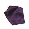 Vesuvio Napoli PAISLEY Design Men's Hankerchief Pocket Square Mens Hanky Hankie, Grape Purple, 10x10 Inches view 1