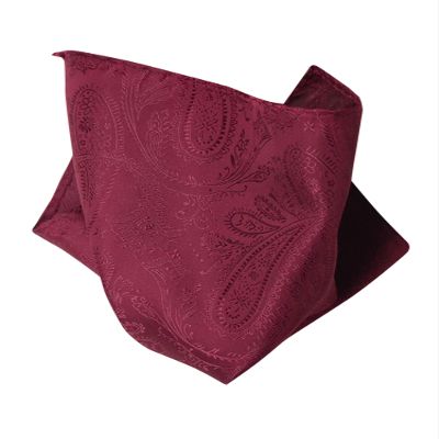 Vesuvio Napoli BURGUNDY PAISLEY DESIGN Hankerchief Pocket Square Hanky Men's Handkerchiefs