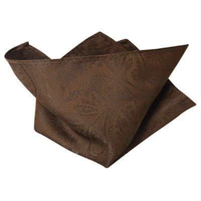 Vesuvio Napoli CHOCOLATE BROWN PAISLEY Design Handkerchief Pocket Square Hanky Men's Hankie