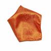 Vesuvio Napoli BURNT ORANGE PAISLEY Design Men's Hankie Hankerchief Pocket Square Hanky view 1