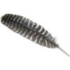Turkey Feather view 2