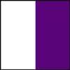 Platinum Jumps 3 Panel V Design Wing Standards 6 Foot White/Purple view 2