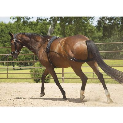 Mustang Balance Training System