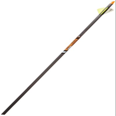 Gold Tip Expedition Hunter 300 Carbon Arrows with 2-Inch HP Vanes (Pack of 12)