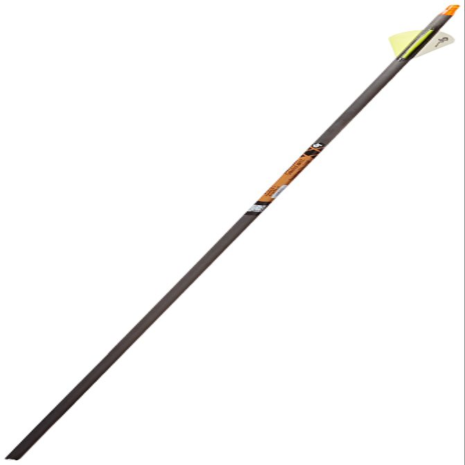 Gold Tip Expedition Hunter 300 Carbon Arrows with 2-Inch HP Vanes (Pack of 12)