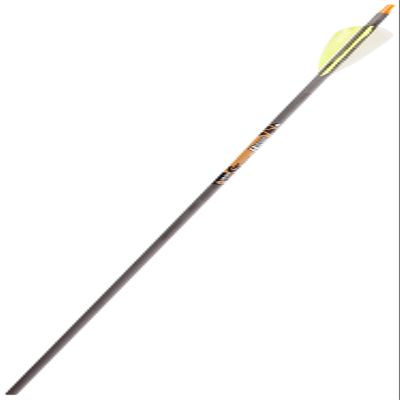 Gold Tip Expedition Hunter 300 Carbon Arrows with 4-Inch Feathers (Pack of 12)