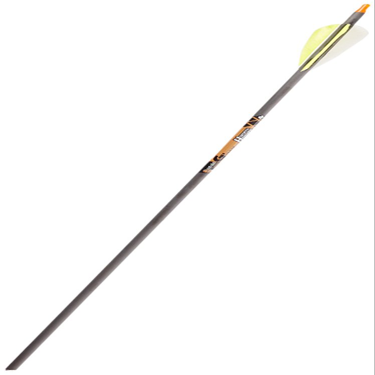 Gold Tip Expedition Hunter 300 Carbon Arrows with 4-Inch Feathers (Pack of 12)