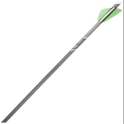 Gold Tip Ultralight Entrada 300 Arrows with 4-Inch Vanes (Pack of 12)