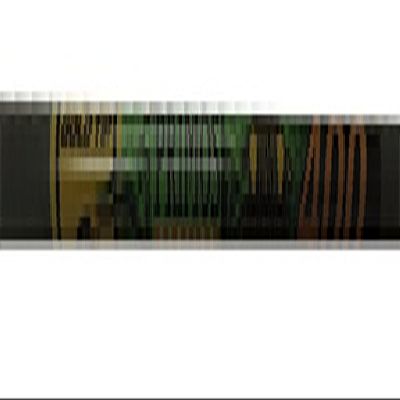 Gold Tip Team Primos 400 Arrow Shafts (Pack of 12)