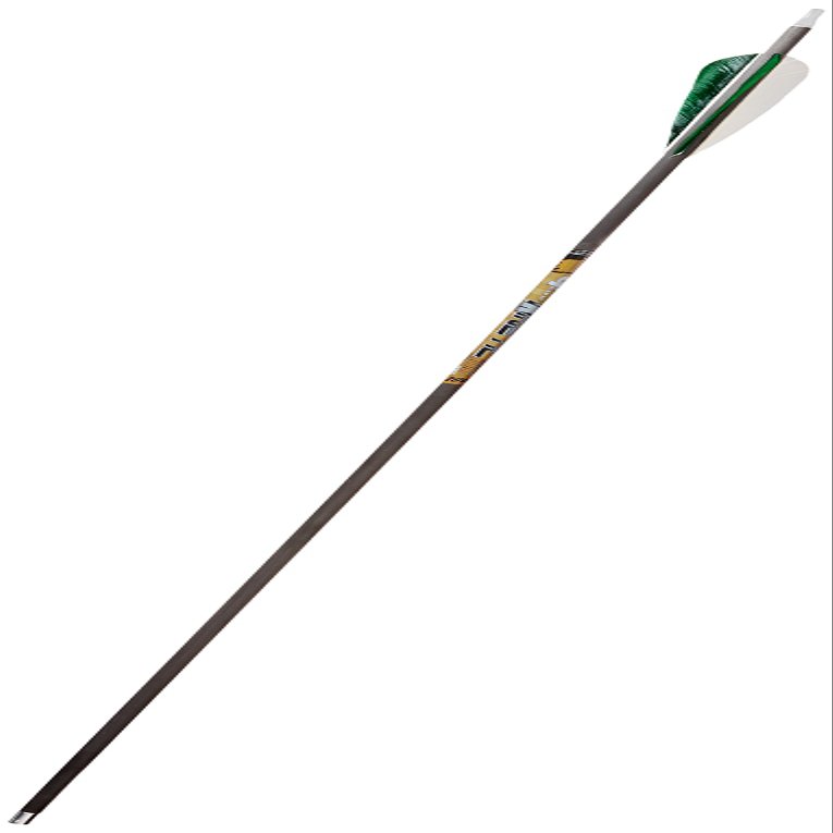 Gold Tip Kinetic Big Game Hunter Arrows with Feathers (Pack of 12), Black