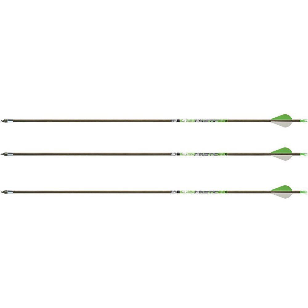Gold Tip Kinetic Big Game XT Arrows with Feathers (Pack of 12), Black