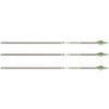 Gold Tip Kinetic Big Game XT Arrows with Feathers (Pack of 12), Black view 1