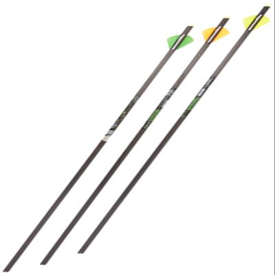 Gold Tip Velocity XT 300 Arrows with 2-Inch Vanes (72 Count), Black