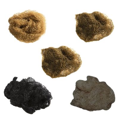Hy Hair Net (Standard) (Black)