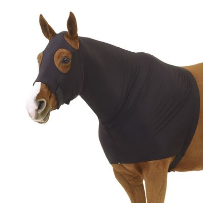 Equi-Essentials Stretch Full Zip Hood XL Royal Blu