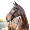 Horze Vienna Weymouth Dressage Bridle - Black - Warmblood view 3