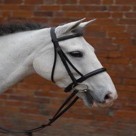 William Hunter Equestrian Hy Padded Cavesson Bridle with Rubber Grip Reins - x Small 1/2 - Black