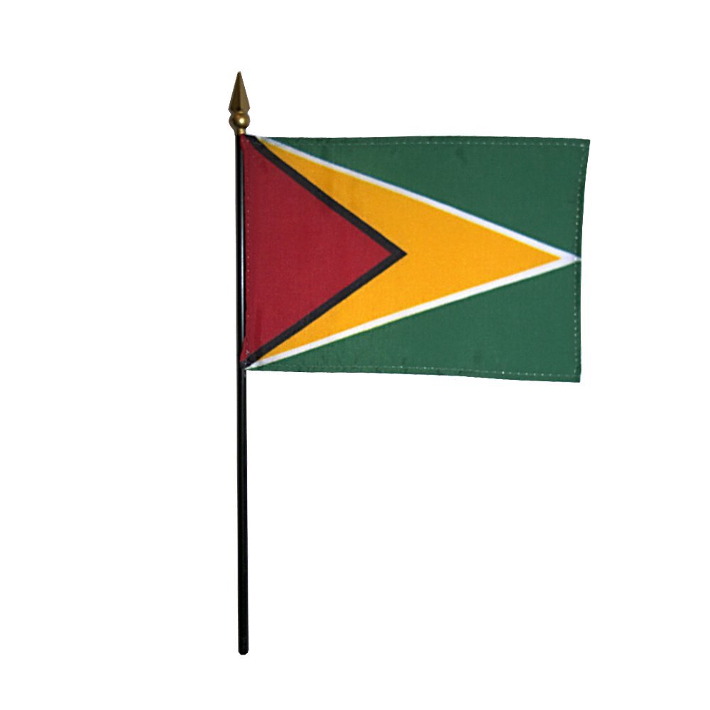 12 Pack 4 in. X 6 in. Guyana Mounted on a 10 in. Black Staff with Gold Spear tip