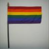 12 Pack 4 in. X 6 in. Rainbow Mounted on a 10 in. Black Staff with Gold Spear tip view 1