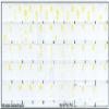 LITHUANIAN KEYBOARD LABELS ON TRANSPARENT BACKGROUND with YELLOW LETTERING (14X14) view 2