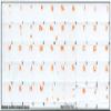 Serbian Keyboard Labels Layout ON Transparent Background with Blue, Orange, RED, White OR Yellow Lettering (14X14) (Orange) view 2