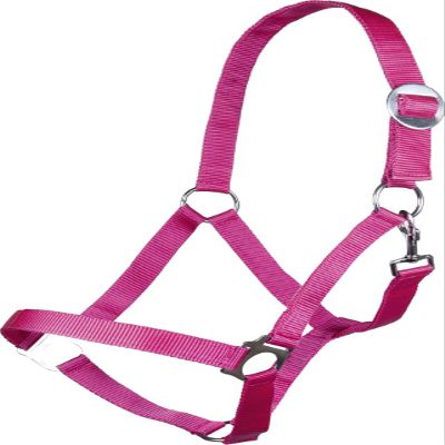 HKM 544103 Headcollar Stars Economy Softice