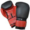 All Purpose Boxing Training Gloves - Great for Bag, Pad and Sparring use (Regular (12oz)) view 1