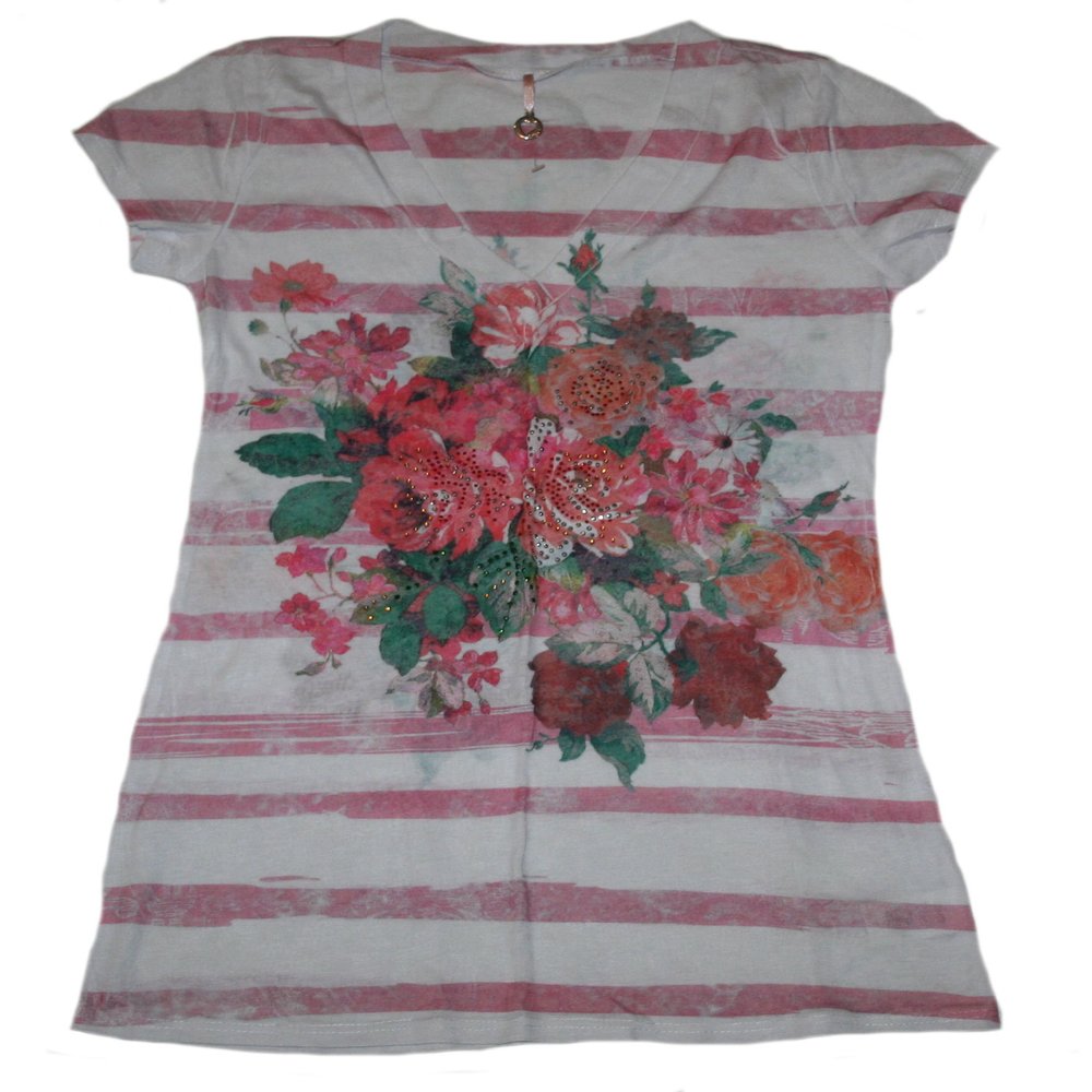 Robin K. Women's Fashion V-Neck Tee (Small) Multi
