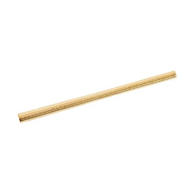Otis T-Handle IP110001P