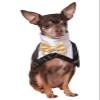 Rubies Costume Company Bowtie and Vest-Look-Bandana Pet Costume, Medium/Large view 1