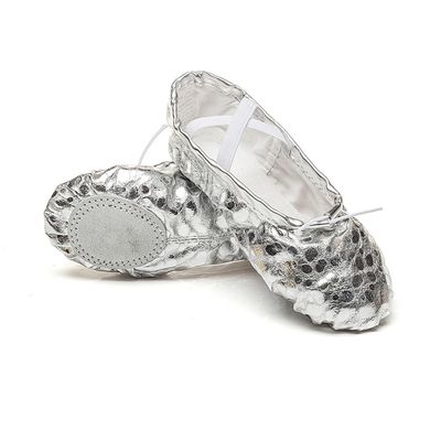 MSMAX Costume Footwear Soft Ballerina Shoes for Women Party Flats Silver 7 M US Women