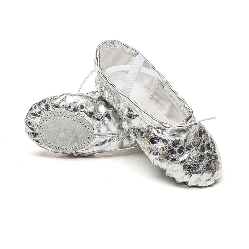 MSMAX Costume Footwear Soft Ballerina Shoes for Women Party Flats Silver 7 M US Women