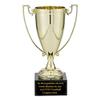 SHOP AWARDS AND GIFTS Customizable 10-1/4 Inch Trophy Gold Cup on Black Marble Base, Includes Personalization view 2