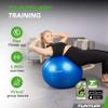 Tunturi Unisex's Yoga Gym Ball, Blue, 55 cm view 3