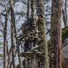 Summit Treestands Titan SD Climbing Treestand view 4