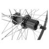 WheelMaster Rear Bicycle Wheel, 700 WEI ZAC19 BK MSW 36 RM30 BO BK 135mm DTI2.0SL view 2
