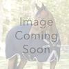 Dover Saddlery Lined Halter, Oversize-O/S, Brown/Green view 1