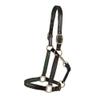 Dover Saddlery Lined Halter, Oversize-O/S, Brown/Green view 3