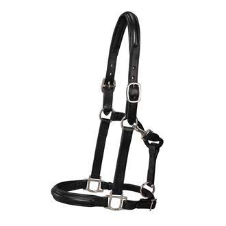 Circuit Plain Raised Padded Halter Black/Nickel Oversize