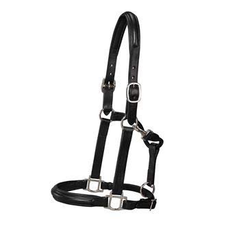Circuit Plain Raised Padded Halter Black/Nickel Oversize