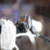 Kikkerland FL31-BK Streamline Bicycle Headlight view 4