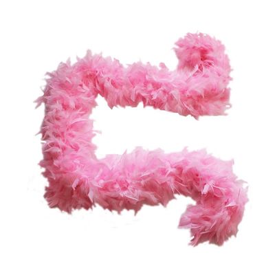 Cynthia's Feathers 100g Chandelle Feather Boa (Candy Pink)