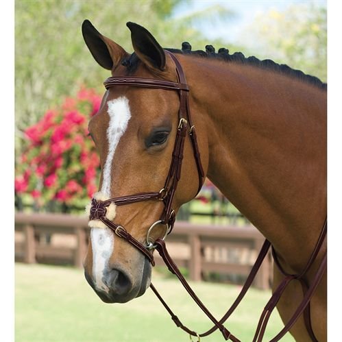Dy'on Figure 8 Bridle Brown Horse-full Size